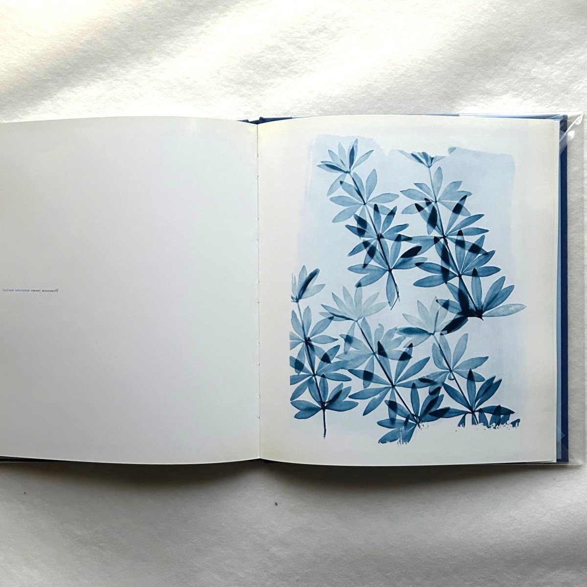洋書 Blue Prints Zeva Oelbaum Blue Prints / Zeva Oelbaum | 本まるさんかくしかく