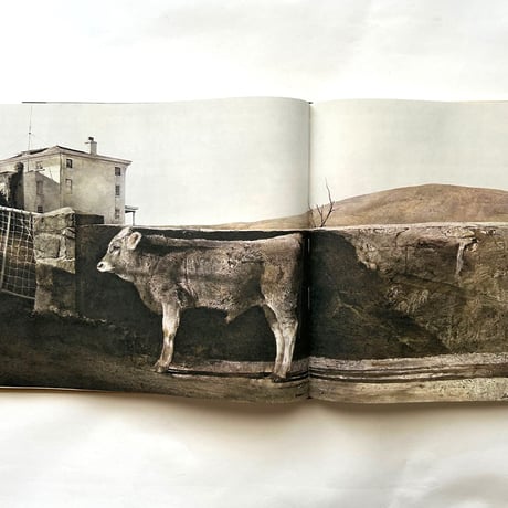 Andrew Wyeth / Richard Meryman