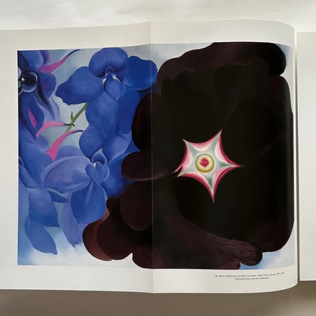 Georgia O'Keeffe Museum