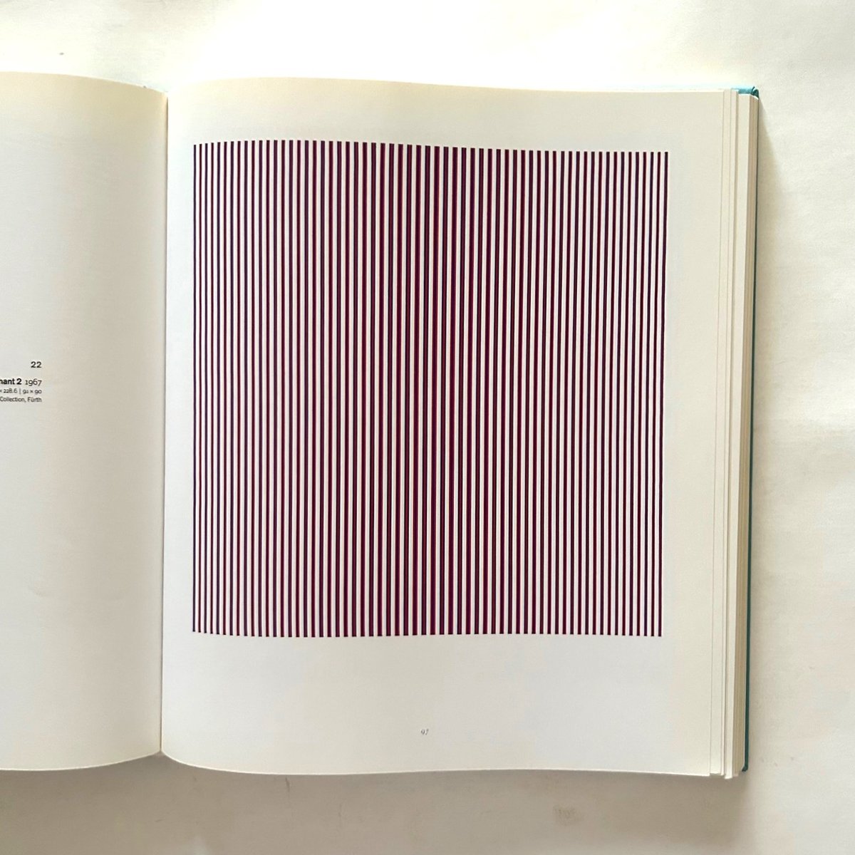 Bridget Riley / ‎ Paul Moorhouse | 本まるさんかくしかく