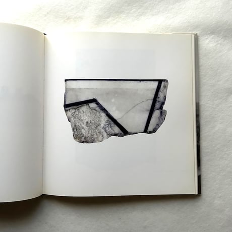 Paintings on Marble / ブライス・マーデン