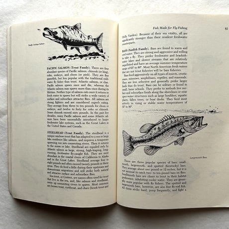 L.L. Bean Fly Fishing for Bass Handbook