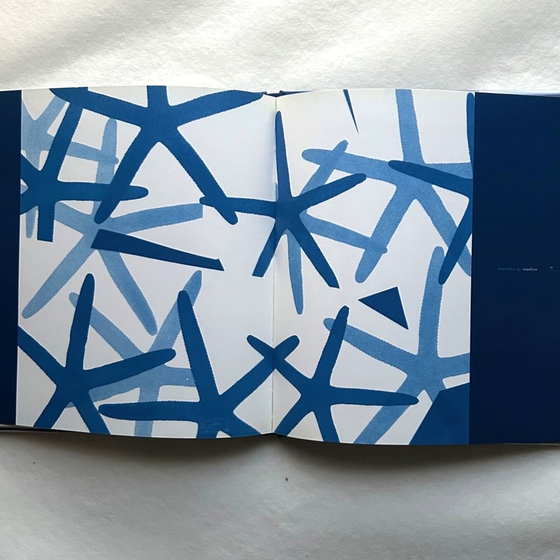 Blue Prints / Zeva Oelbaum | 本まるさんかくしかく