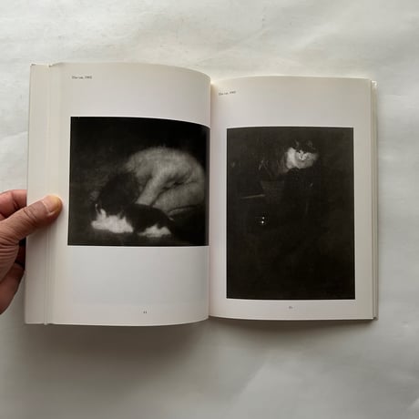Edward Steichen The Royal Photographic Society Collection /  Edward Steichen, Sabina Cortese