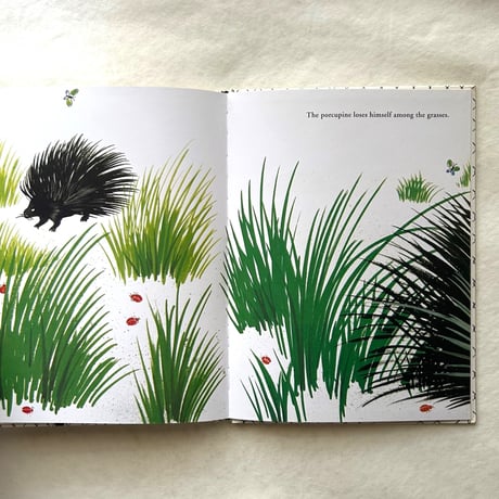 Bruno Munari's Zoo / ブルーノ・ムナーリ