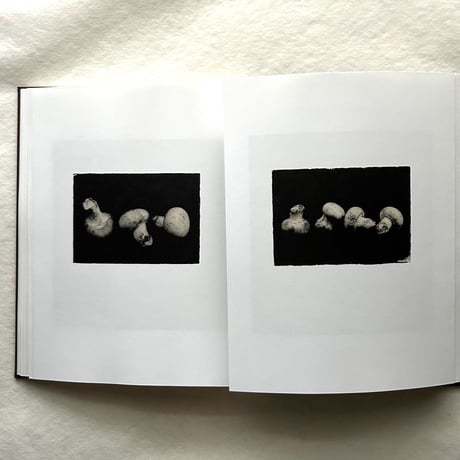 Time in Air, Time in Paper /  森田幸子