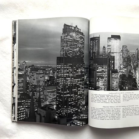 New York City A Photographic Portrait / Victor Laredo