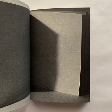 Real Fiction / Telfer Stokes