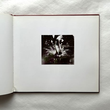 Boy with a camera  the story of Jacques-Henri Lartigue / John Cech