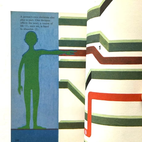 Genetics  (Volume3 Visual Series)