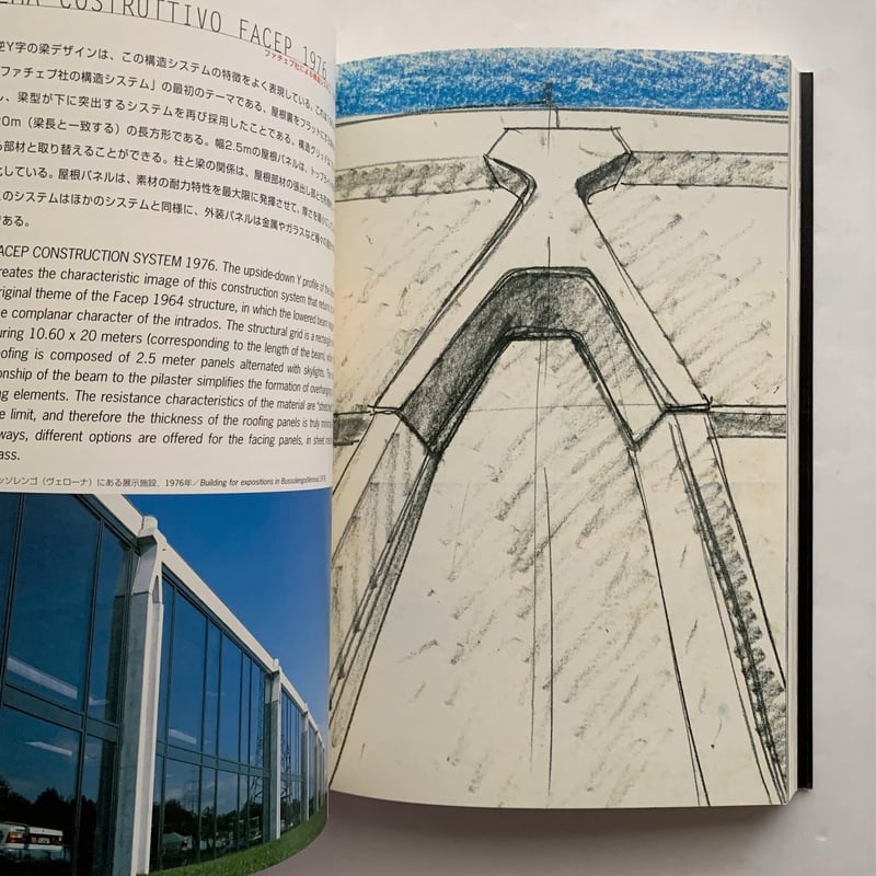 マンジャロッティの世界 | 本まるさんかくしかく