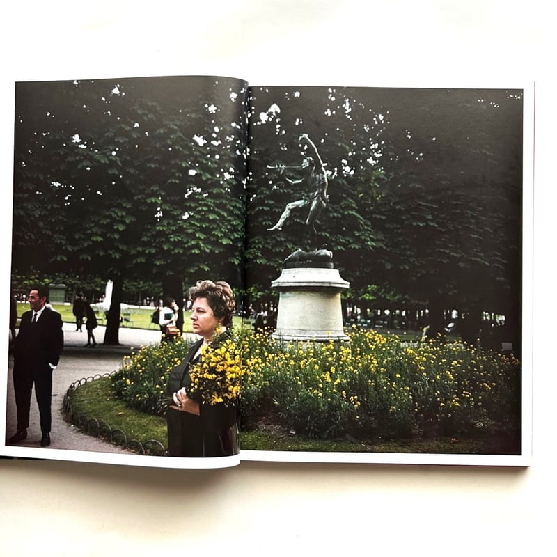 Wild Flowers / Joel Meyerowitz ジョエル・マイヤウィッツ | 本