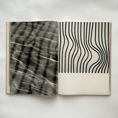 Sehen Gestalten  / Fritz Kuhn フリッツ・クーン