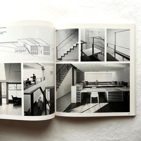 David Chipperfield / Kenneth Frampton