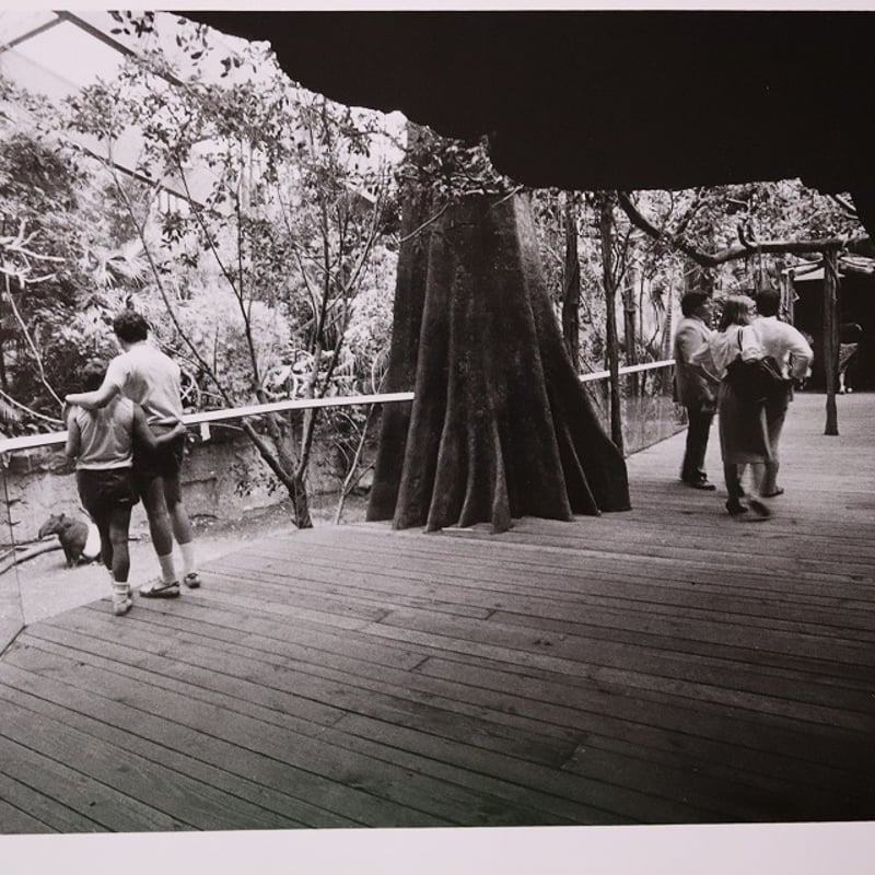 橋口譲二　写真集　動物園 動物園 / Zoo - 橋口 譲二 / George Hashiguchi