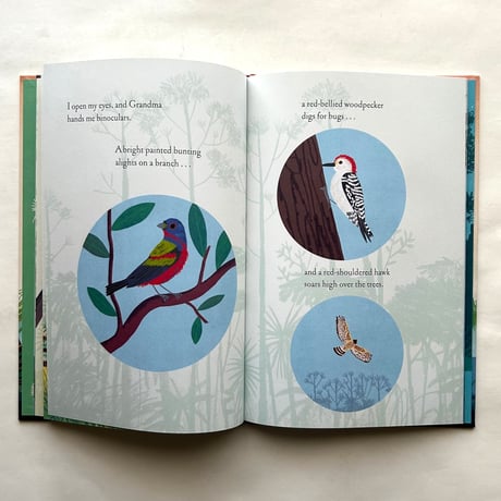 Over and Under the Wetland / Christopher Silas Neal, Kate Messner