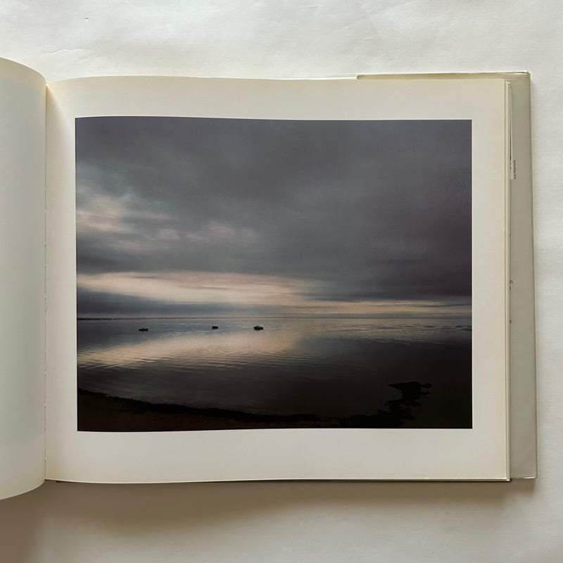 希少❗️【Retrospective】 ジョエル・マイロウィッツ/アート写真集 Joel Meyerowitz: Wild Flowers *First editionジョエル・マイロ