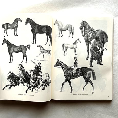ANIMALS   /  ジム・ハーター.
