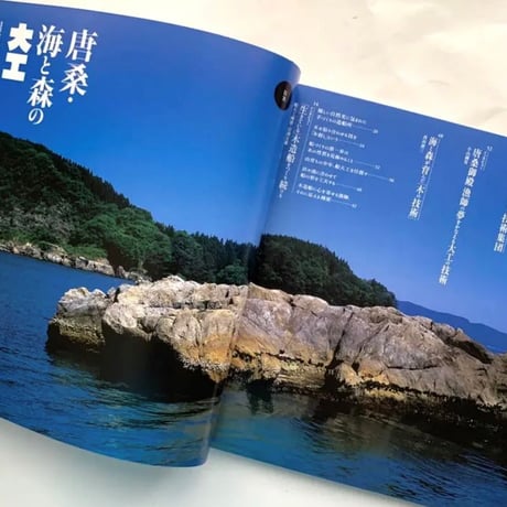 唐桑・海と森の大工  /  イナックス