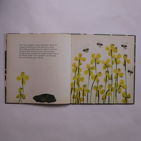 The Caterpillar's Story / Katrin Brandt