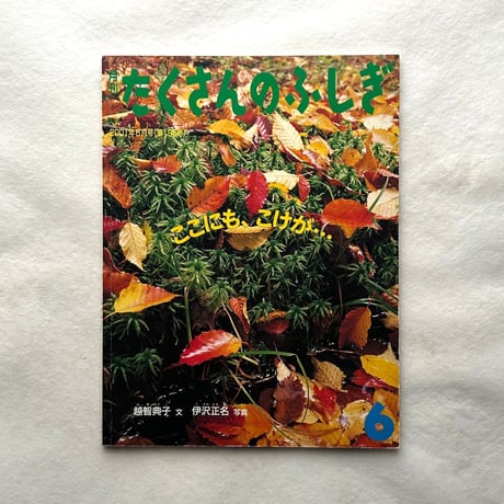 たくさんのふしぎ | STORES