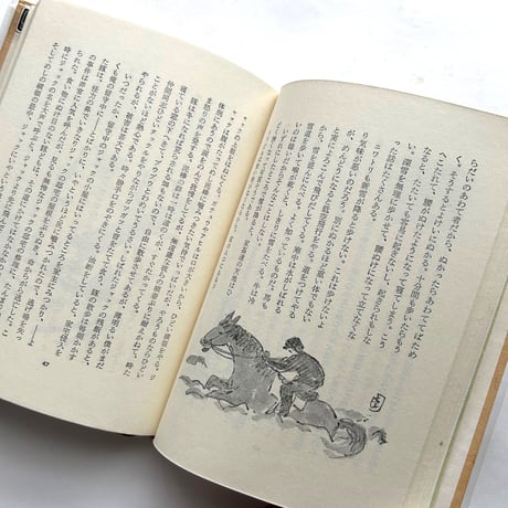 山・原野・牧場 / 坂本直行