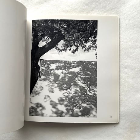 Manuel Alvarez Bravo (Aperture Masters of Photography Three) / Aperture