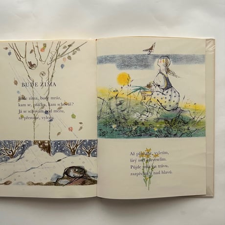 Do kola / Petr Denk、Adolf Zabransky
