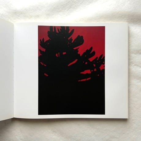 Alex Katz   This Is Now / Michael Rooks, Margaret Graham