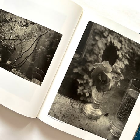 Josef Sudek Poet of Prague / Anna Farova