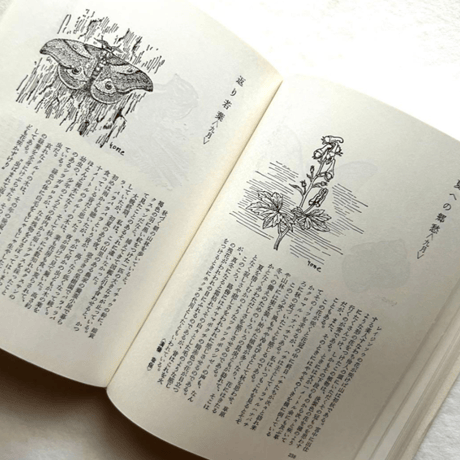 自然手帖 / 串田孫一 、尾崎喜八、太田黒克彦 他