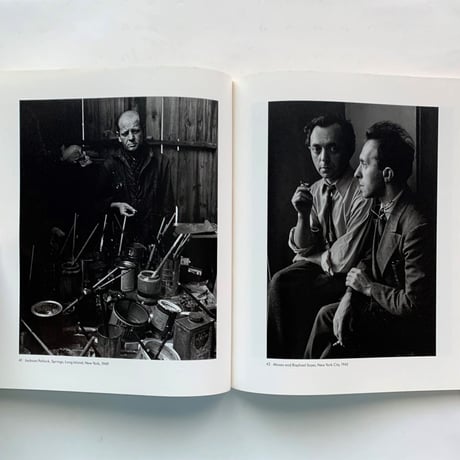 Arnold Newman's Americans / Alan Fern