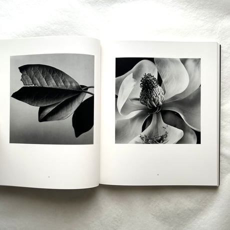 Hana 花 / 石元泰博