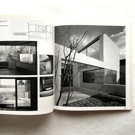 David Chipperfield / Kenneth Frampton