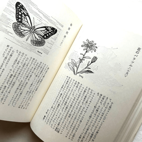 自然手帖 / 串田孫一 、尾崎喜八、太田黒克彦 他