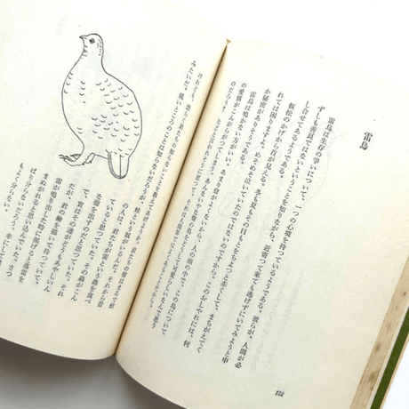 博物誌・Ⅲ / 串田孫一