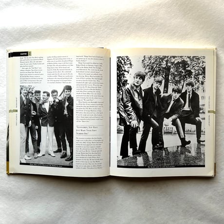 The Beatles The Complete Illustrated Story / Terry Burrows