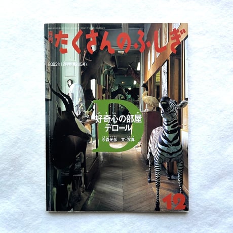 昆虫標本 | STORES