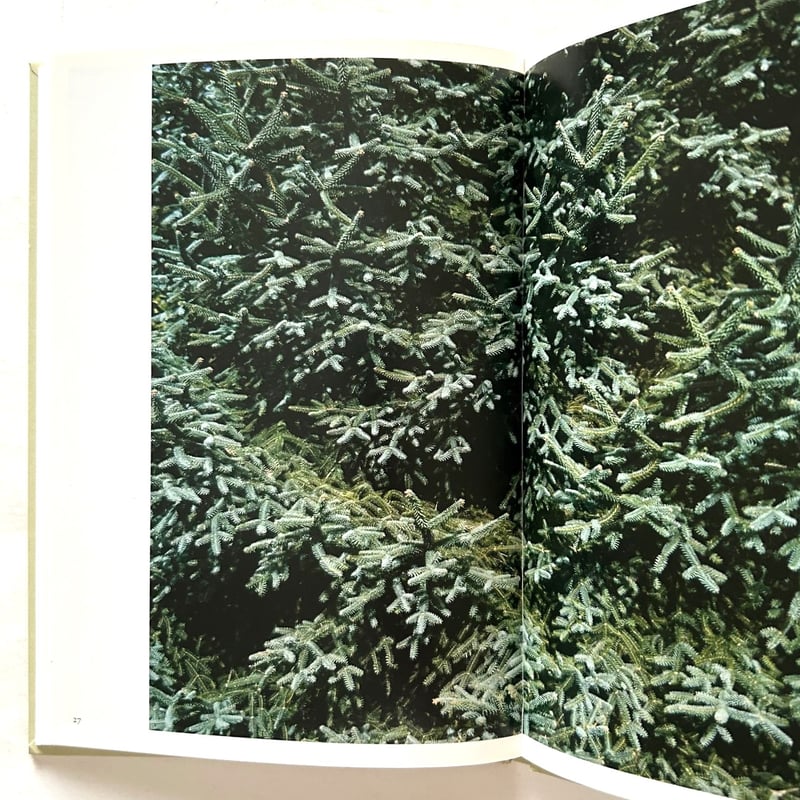 IN OUR NATURE / Takashi Homma | 本まるさんかくしかく IN OUR NATURE / Takashi Homma | 本まるさんかくしかく