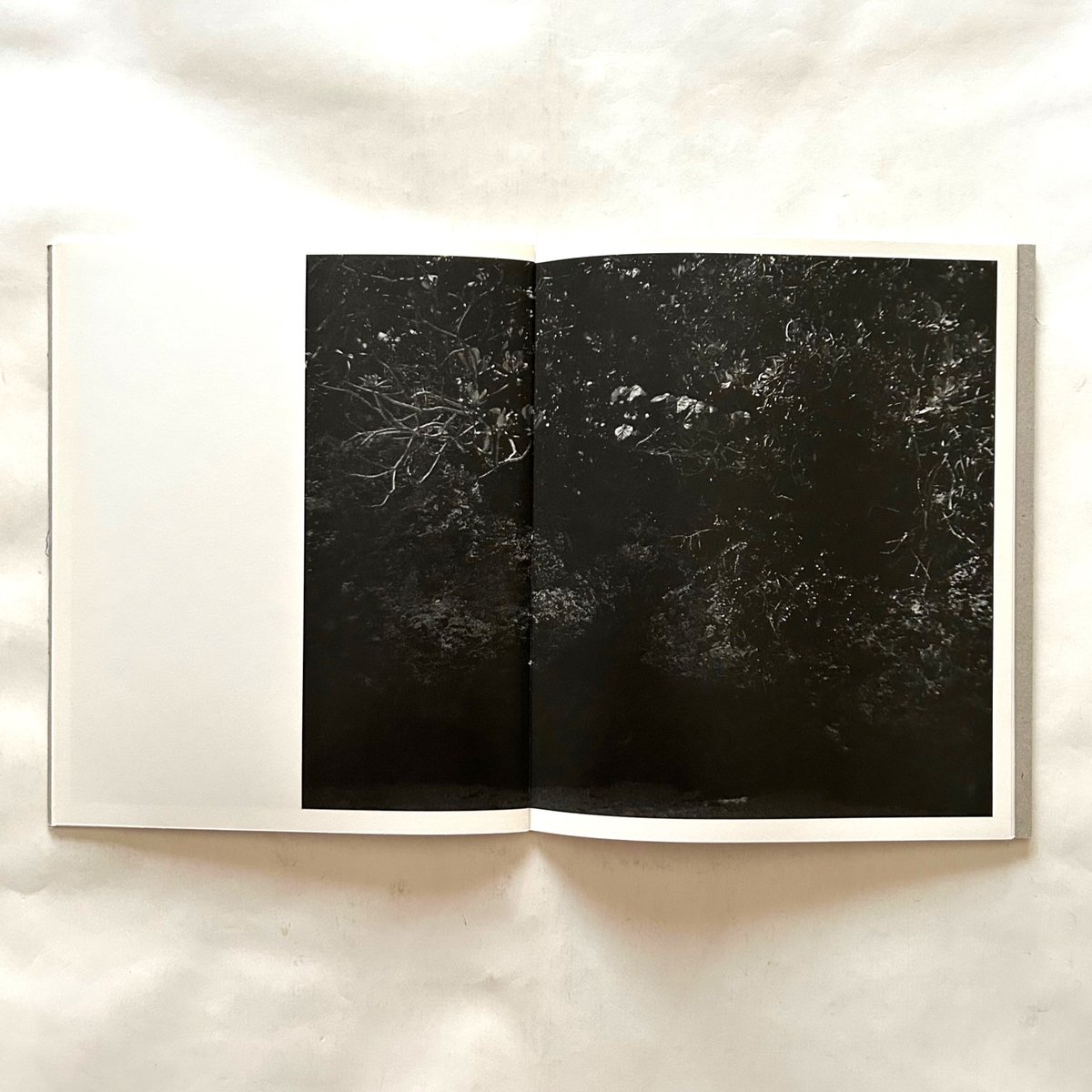 Blanco / Awoiska Van Der Molen | 本まるさんかくしかく