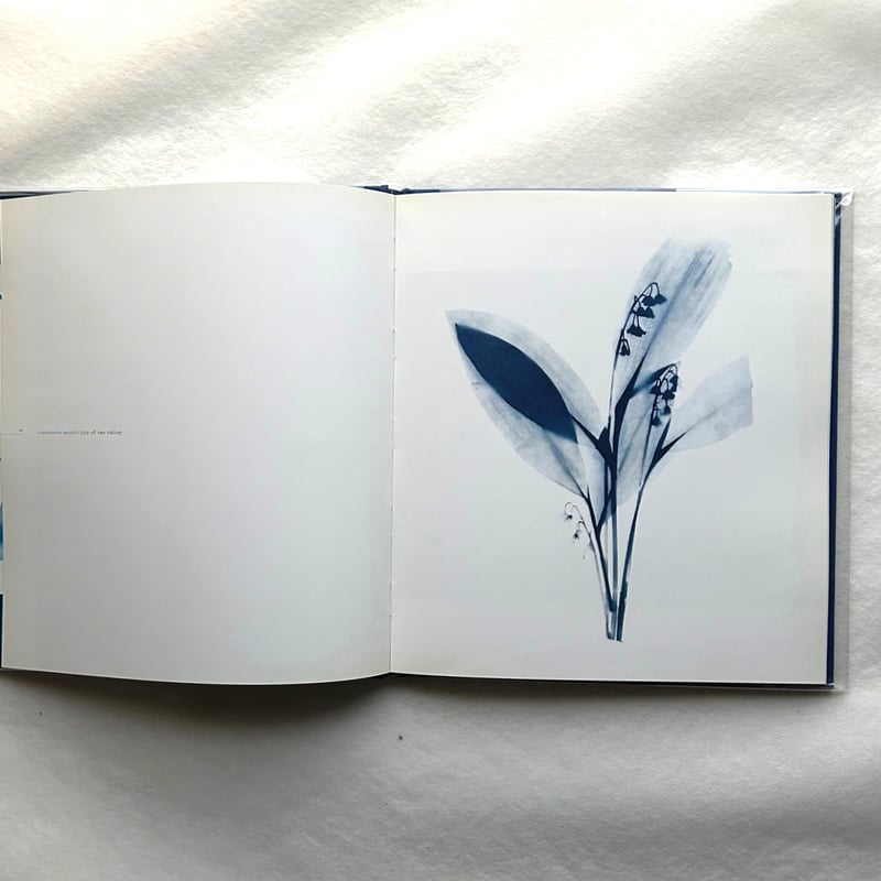 Blue Prints / Zeva Oelbaum | 本まるさんかくしかく