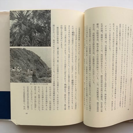 漂着物の博物誌  / 石井忠
