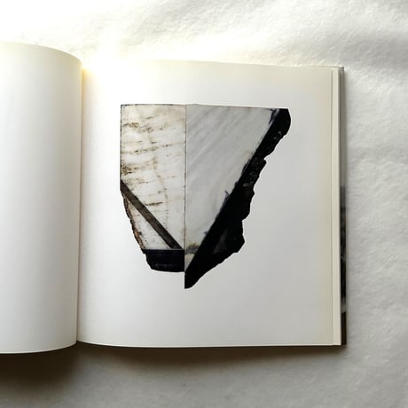Paintings on Marble / ブライス・マーデン