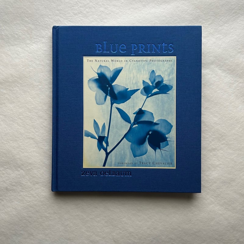 Blue Prints / Zeva Oelbaum | 本まるさんかくしかく