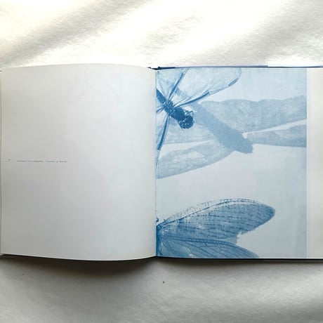 Blue Prints / Zeva Oelbaum