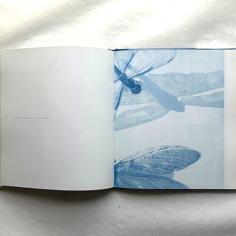 Blue Prints / Zeva Oelbaum | 本まるさんかくしかく