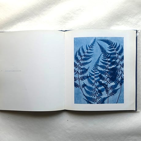 Blue Prints / Zeva Oelbaum