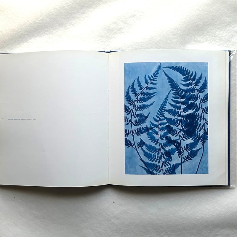 Blue Prints / Zeva Oelbaum | 本まるさんかくしかく