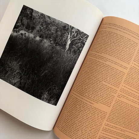 camera No 1 / 55th year / C.J.BUCHER.LTD