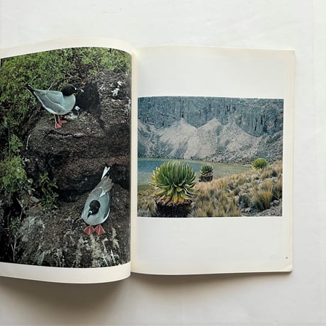 camera No 6 / 53rd year / C.J.BUCHER.LTD